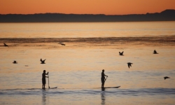 paddleboardcreek