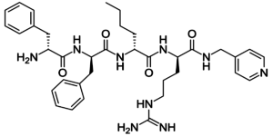 Naltrexone Description: Addiction Treatment Supplement