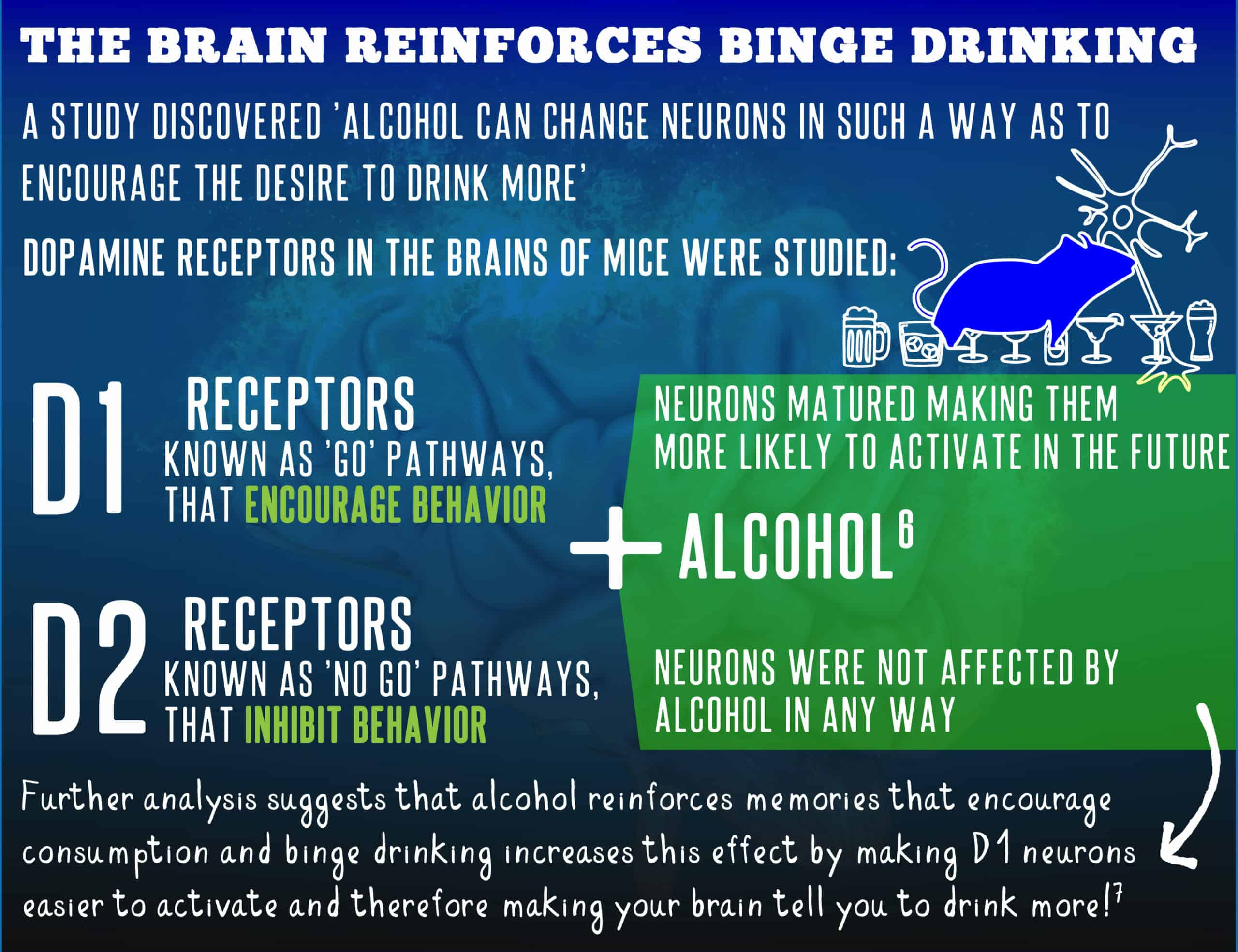 When Does Binge Drinking Become A Problem Ohr Blog 9879